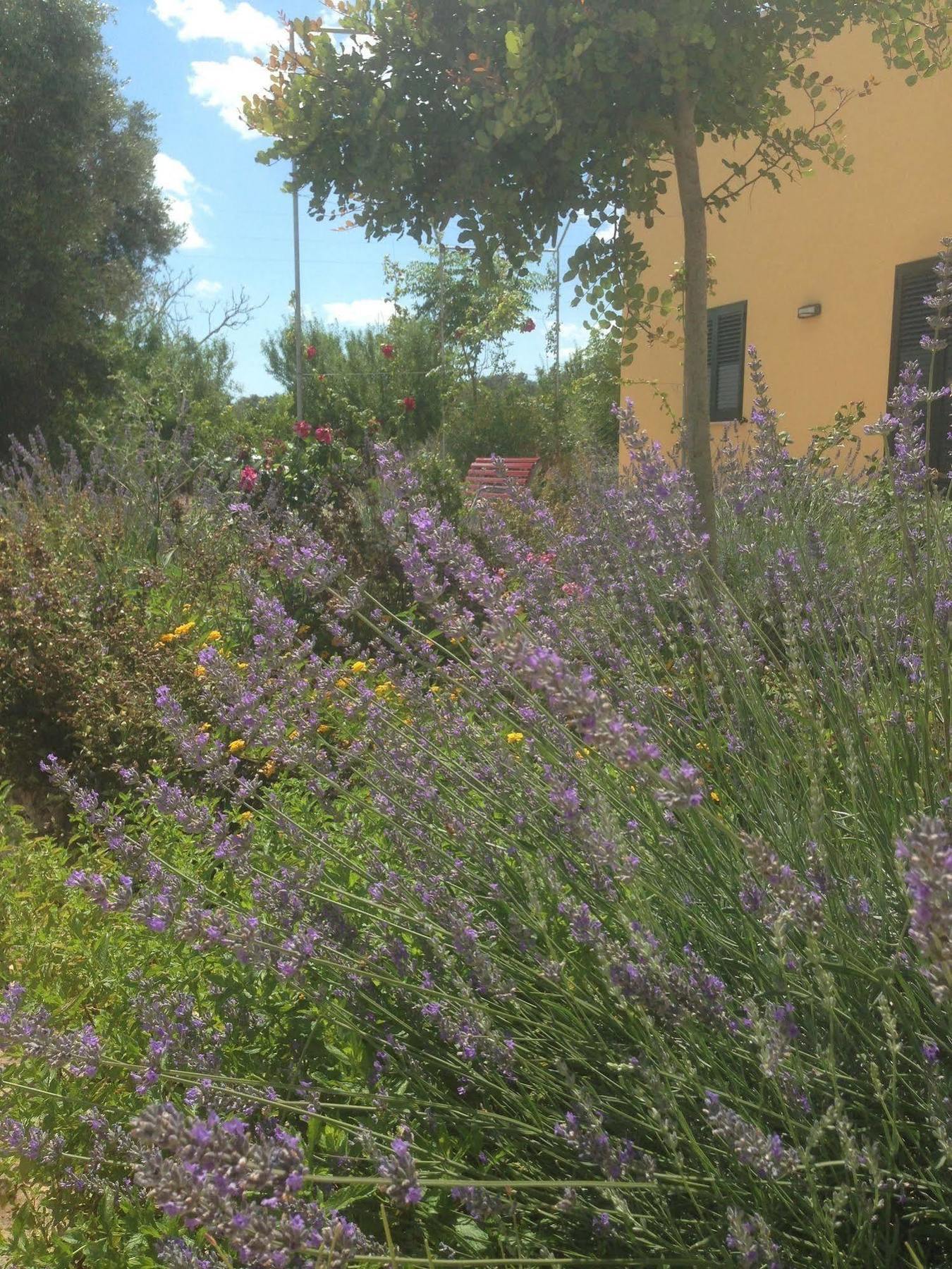 Vila Agriturismo Mele Copertino Exteriér fotografie